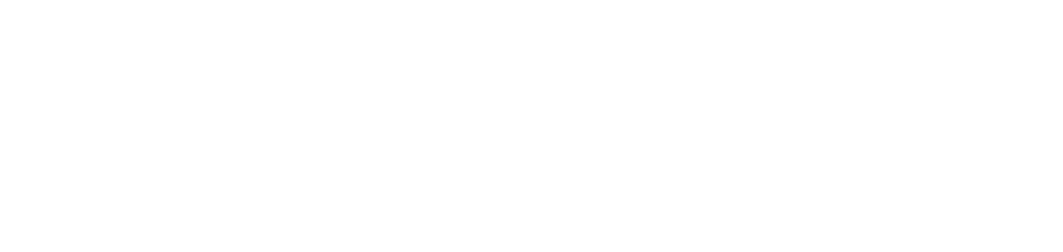 DeepSearchPro.com logo